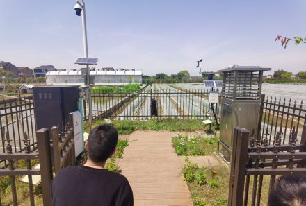  牡丹江鋁藝豪華大門如何保養-百度推薦